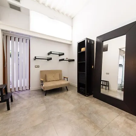 Apartment Moderno Y Tranquilo En El Centro Seville