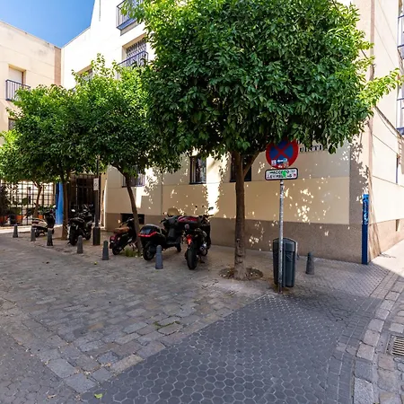 Veoapartment San Quintin 5-2 *