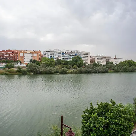 Alohamundi Castilla V-vi