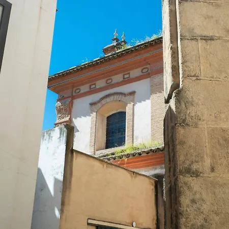 Murillo Boutique X Alohamundi * Sevilla