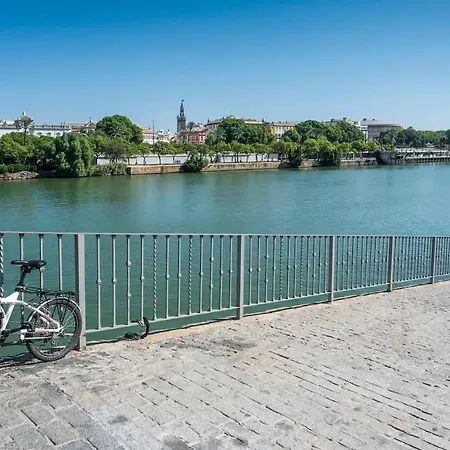 Alohamundi Allure Seville