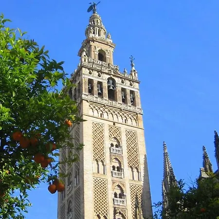 New! Cozy For Couples With Private Patio Seville