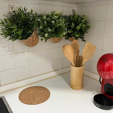 Apartamento 2 Bedroom Virgen De Begona