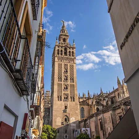 Duplex Con Terraza Privada Y Vistas A La Catedral *