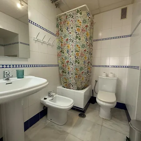 Atico Duplex En El Centro De * Seville