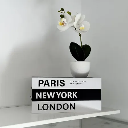 Apartamento Avenzoar