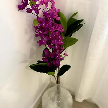 Apartamento Avenzoar Sevilla