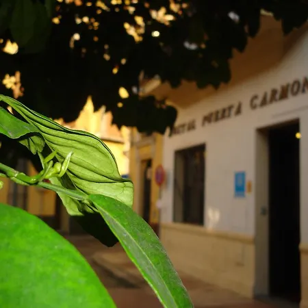 Puerta Carmona Sevilla