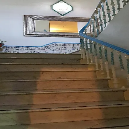Nuevo Pino