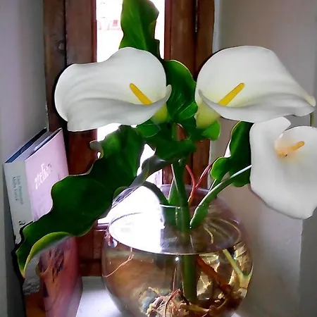 La Casa De Blas Guest house Seville