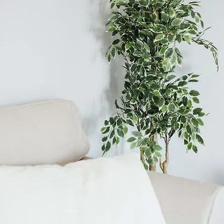 One&lux - Setas 3 Apartment