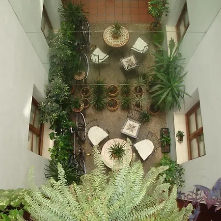 Puerta Carmona Guest house Seville