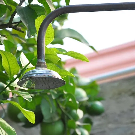 Ostello Lemon Garden Sevilla Siviglia