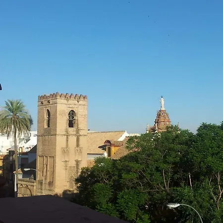Baco Sevilla