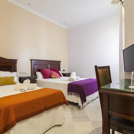 Baco Sevilla