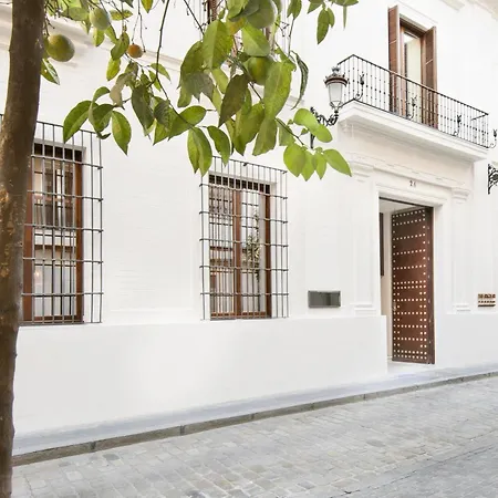Mercer Sevilla