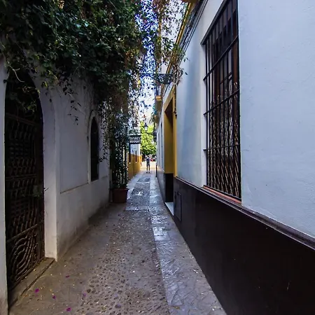 Boutique Vida Appartamento Siviglia