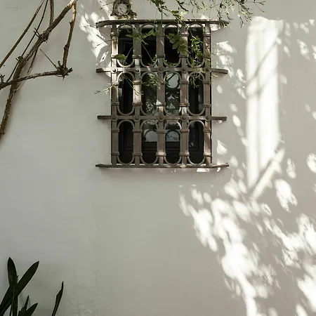 Selecta Venerables Seville