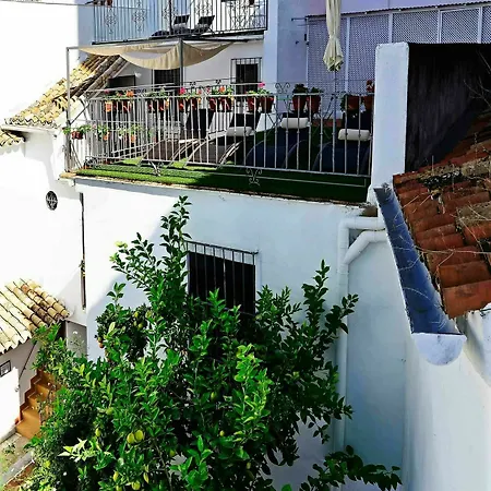 Selecta Venerables Apartment