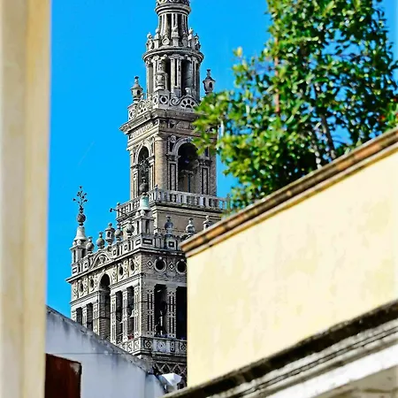 Selecta Venerables Seville
