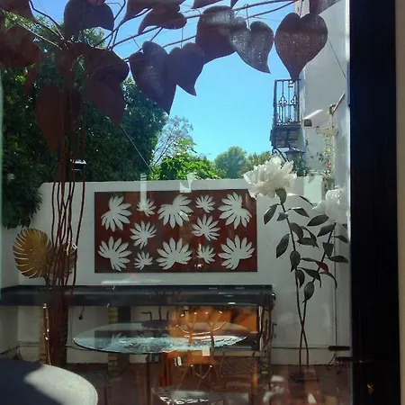 La Casa De Pergolas Villa Seville