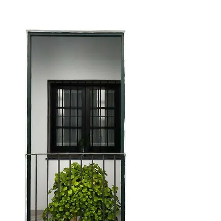 Apartamento San Eloy Dream Sevilla