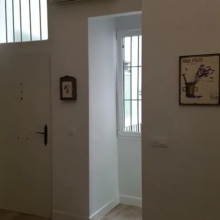 Luxury In Triana Close To The River Apartment