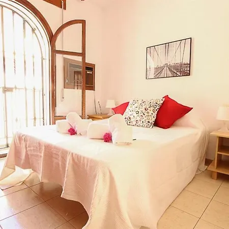 Apartment Deluxe Aparment Plaza Nueva Seville