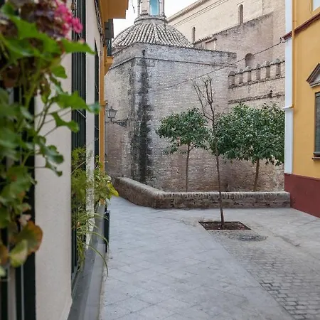 Apartment Bordador *