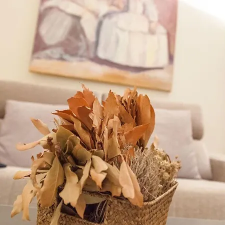 Apartment Bordador