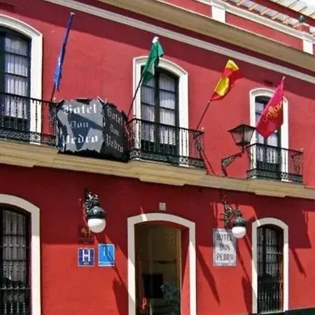 Casa Palacio Don Pedro *