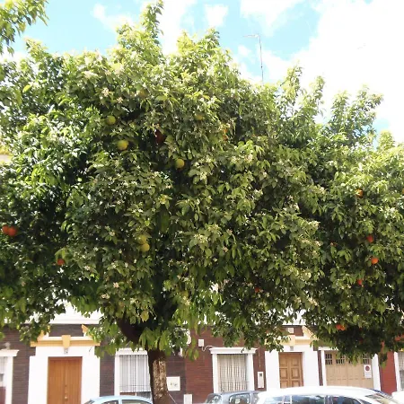 En Triana Seville