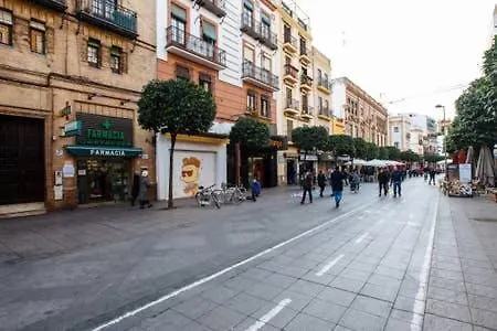 13 Calle San Jacinto * Seville