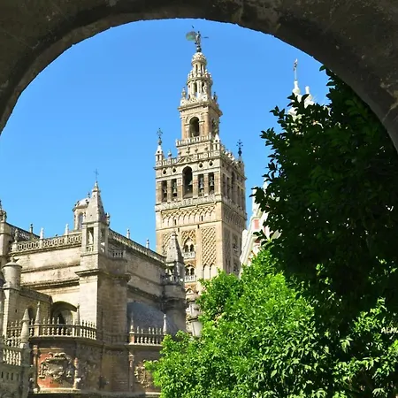 Apartment Wish Sol De Seville