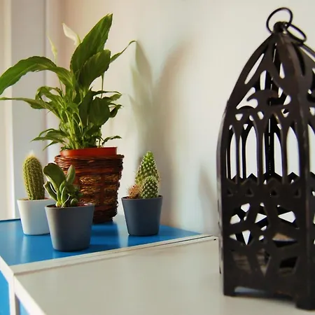 Apartamento Puerta Real *