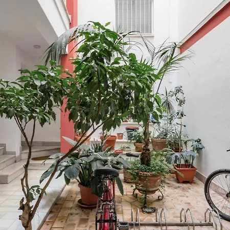 Casa San Martin *