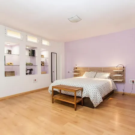 Apartment Lf Parking Incluido Amplio Loft En Barrio Santa Cruz *