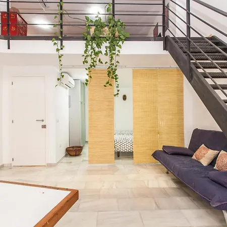 Apartment Lf Parking Incluido Amplio Loft En Barrio Santa Cruz