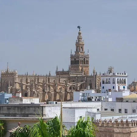 Apartamento Epicenter Ii Nuevo Y Lujoso Apto Parking Gratis Perfecta Ubicacion