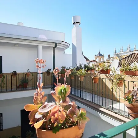 Archeros Skyview