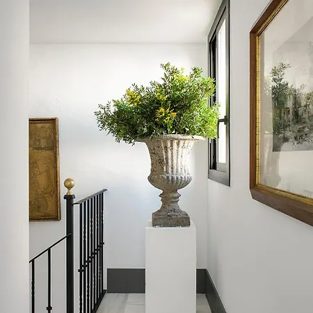 Apartment Vac Luxury