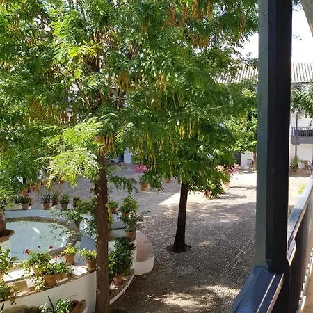Apartment Patio Andaluz Siglo Xvi Seville