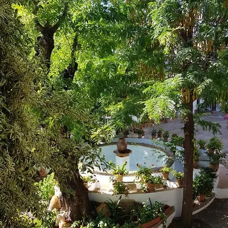 Apartment Patio Andaluz Siglo Xvi