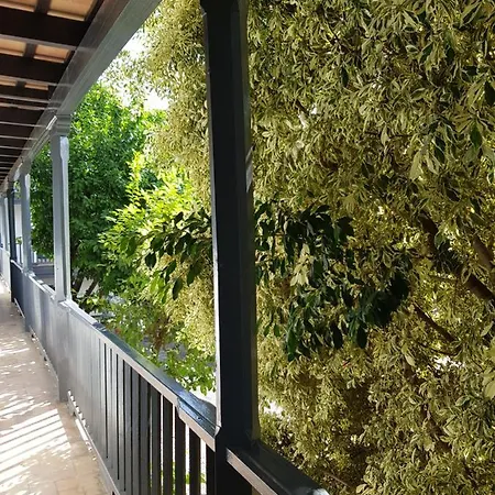 Apartment Patio Andaluz Siglo Xvi Seville