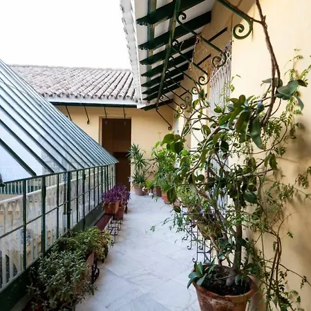 Apartamento Tranquilo Y Con Encanto En Palacio Sevillano, Junto Catedral A Acond Y Wifi Seville