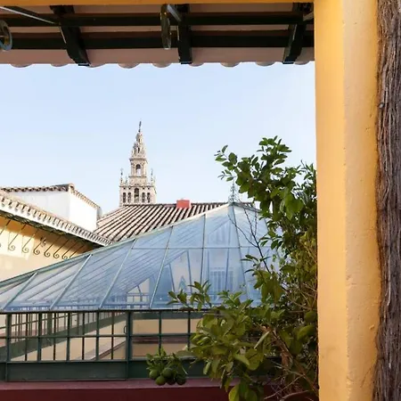 Apartamento Tranquilo Y Con Encanto En Palacio Sevillano, Junto Catedral A Acond Y Wifi Seville