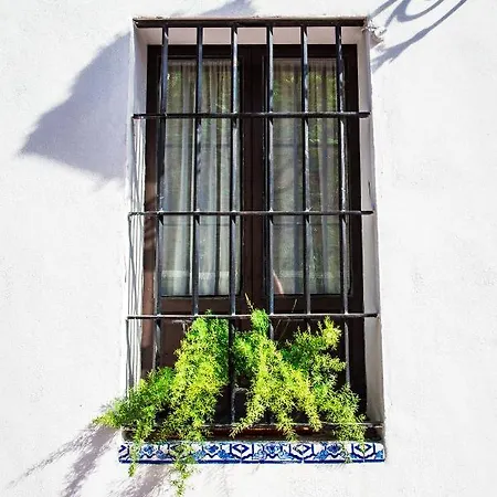 Casa Del Siglo Xvii * Seville
