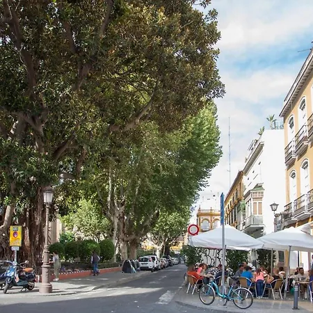 Apartment Descalzos Seville
