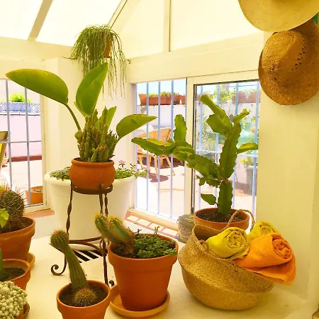 Apartment Eva Recommends Alberto Lista Atico Seville