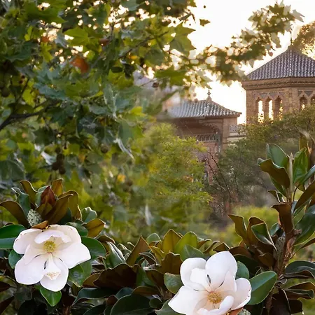 Alfonso, Restored Palace House With Gardens And Monuments Views Sevilla